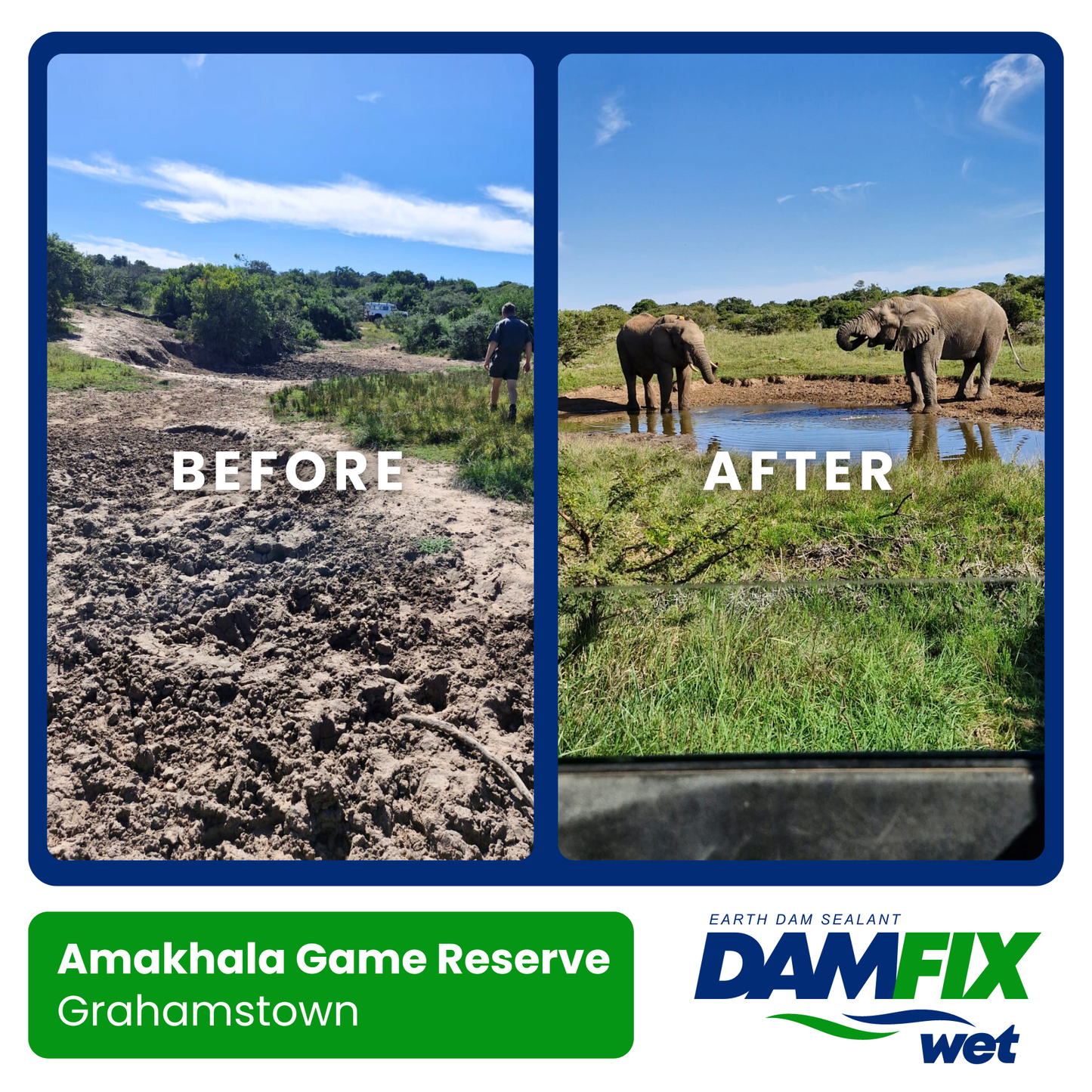 DAMFIX Wet Before and After - Amakhala Game Reserve with Elephants Grahamstown